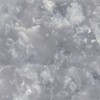 DS-2 Coastal